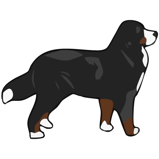 client image